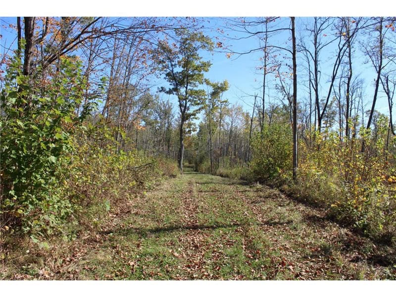 Northwoods Paradise w/ Trails & Ponds For Sale in Isle, MN