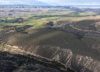 500 Acres Adjacent to BLM – A Secluded Western Colorado Mountain Estate with Water, Views, Wildlife & Unmatched Privacy