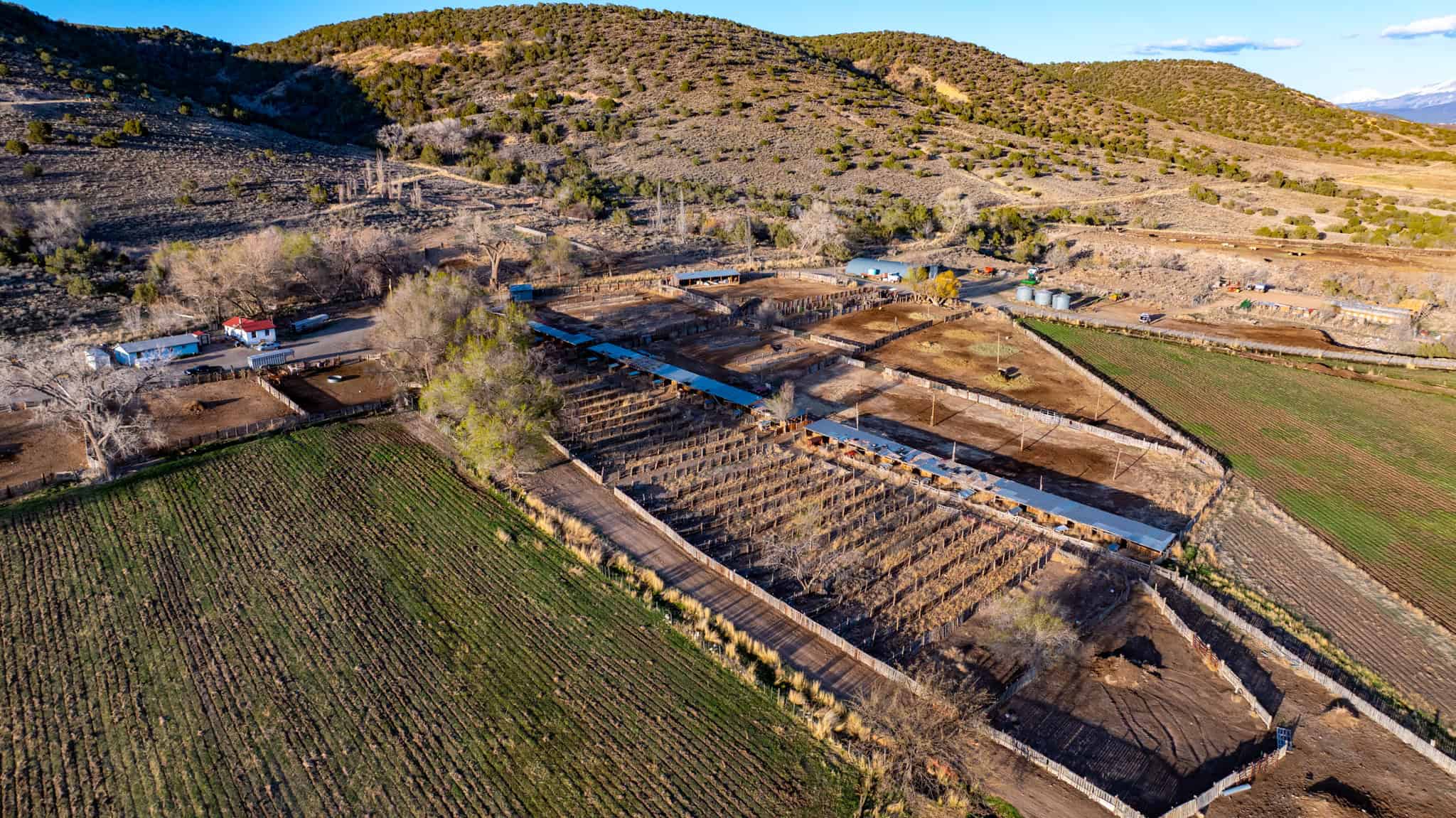 Premier Colorado Property – Shamrock Ranch – Hotchkiss, CO