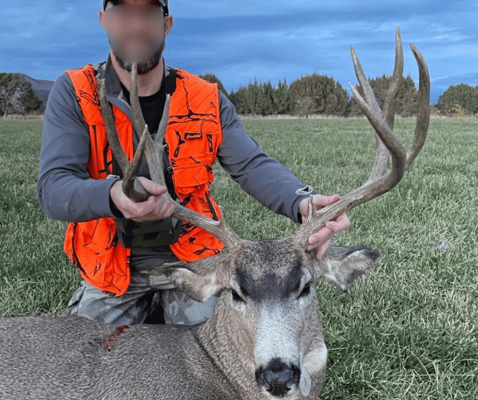 500 Acres Adjacent to BLM – A Secluded Western Colorado Mountain Estate with Water, Views, Wildlife & Unmatched Privacy