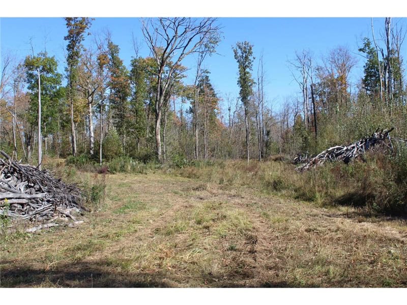 Northwoods Paradise w/ Trails & Ponds For Sale in Isle, MN