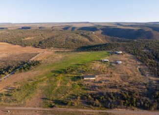 Country Home on Land For Sale in Crawford, CO