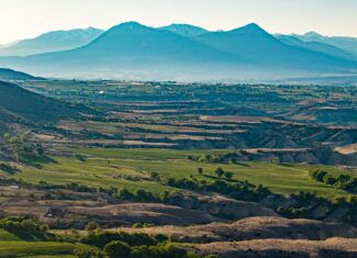 Premier Colorado Property – Shamrock Ranch – Hotchkiss, CO