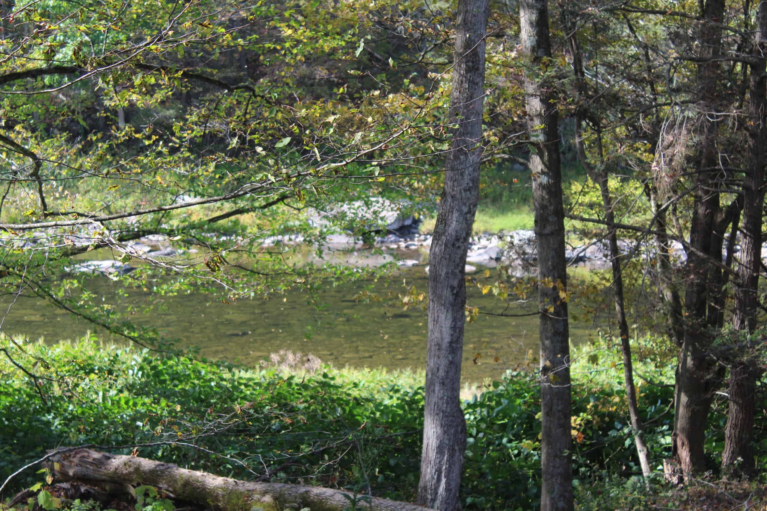 Catskills Hunting and Fishing Land For Sale in New York