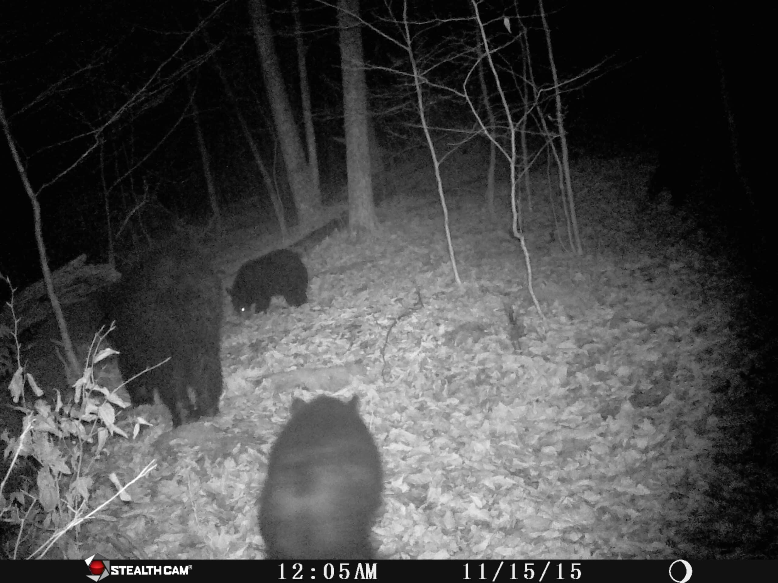 Catskills Hunting and Fishing Land For Sale in New York