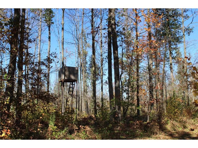 Northwoods Paradise w/ Trails & Ponds For Sale in Isle, MN