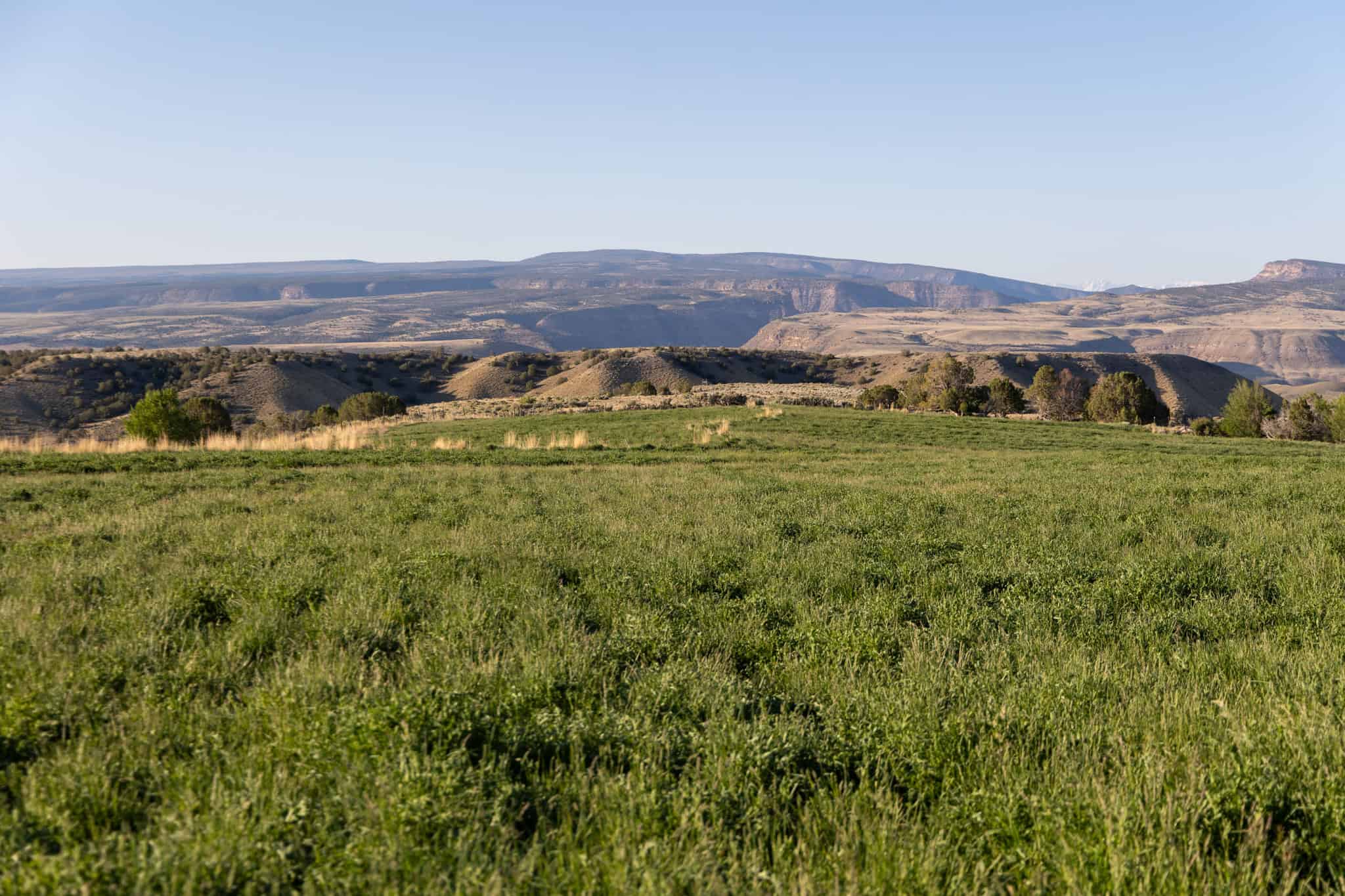 Premier Colorado Property – Shamrock Ranch – Hotchkiss, CO