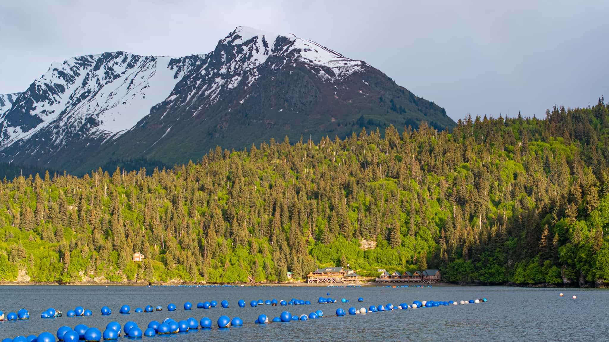 Off-Grid Alaska Lodge for Sale in Halibut Cove