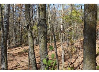 Northwoods Paradise w/ Trails & Ponds For Sale in Isle, MN