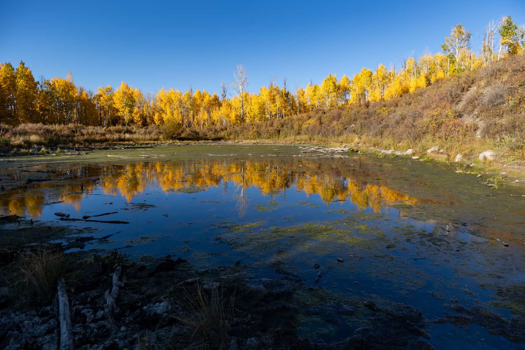 Buckhorn Lakes Ranch Investor Offering – 449± Acres of Premium Mountain Terrain for Sale