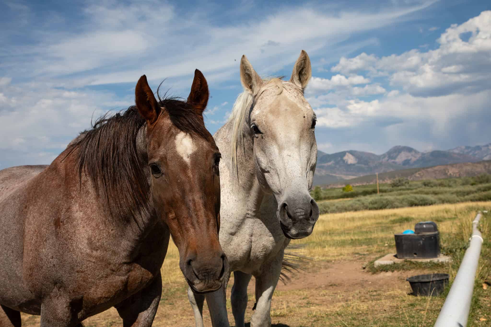 Country Home for Sale on 40 Acres with Valuable Water Rights