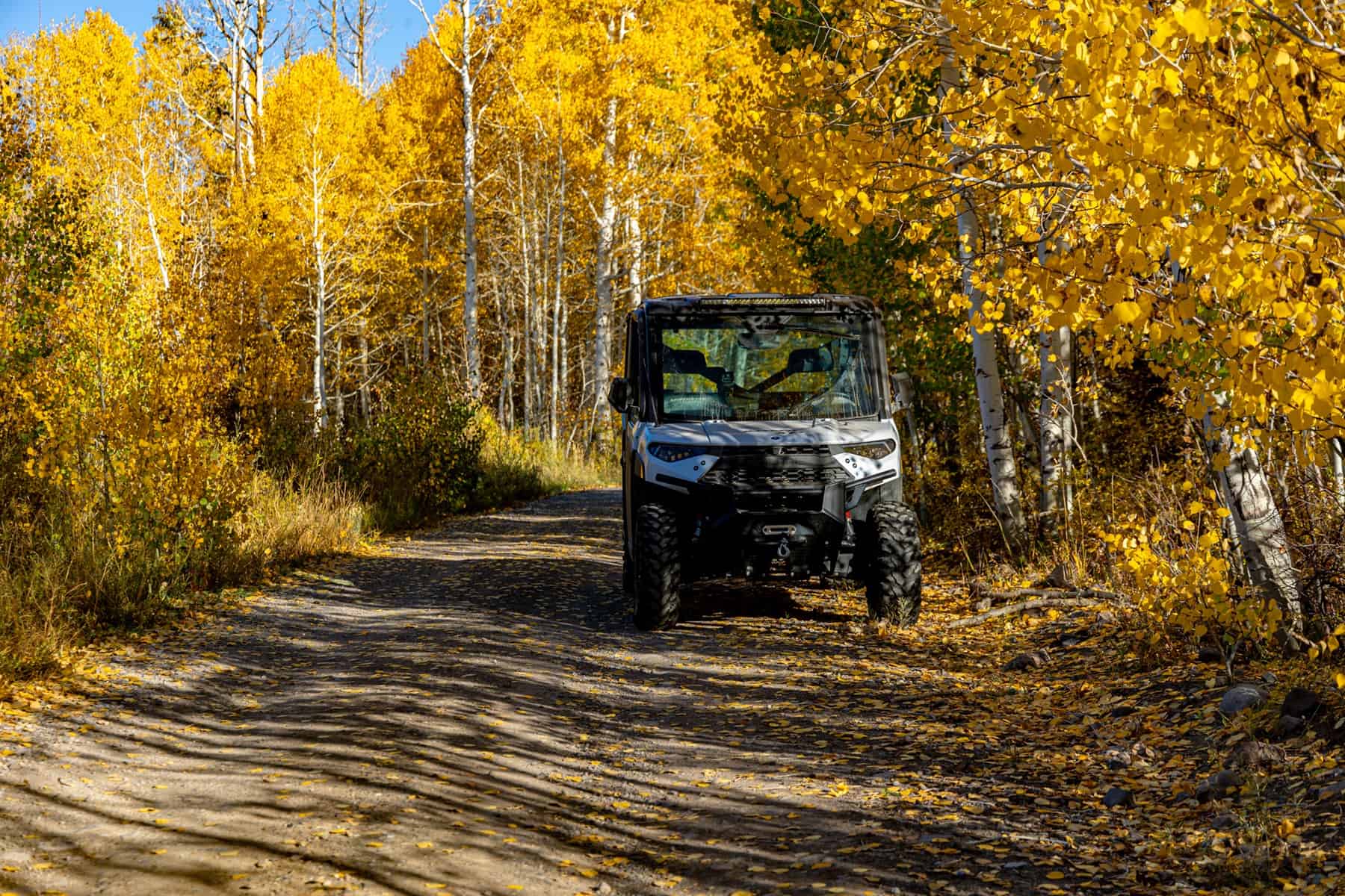 Buckhorn Lakes Ranch Investor Offering – 449± Acres of Premium Mountain Terrain for Sale