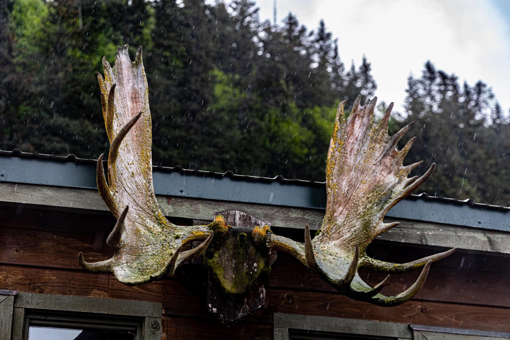 Off-Grid Alaska Lodge for Sale in Halibut Cove