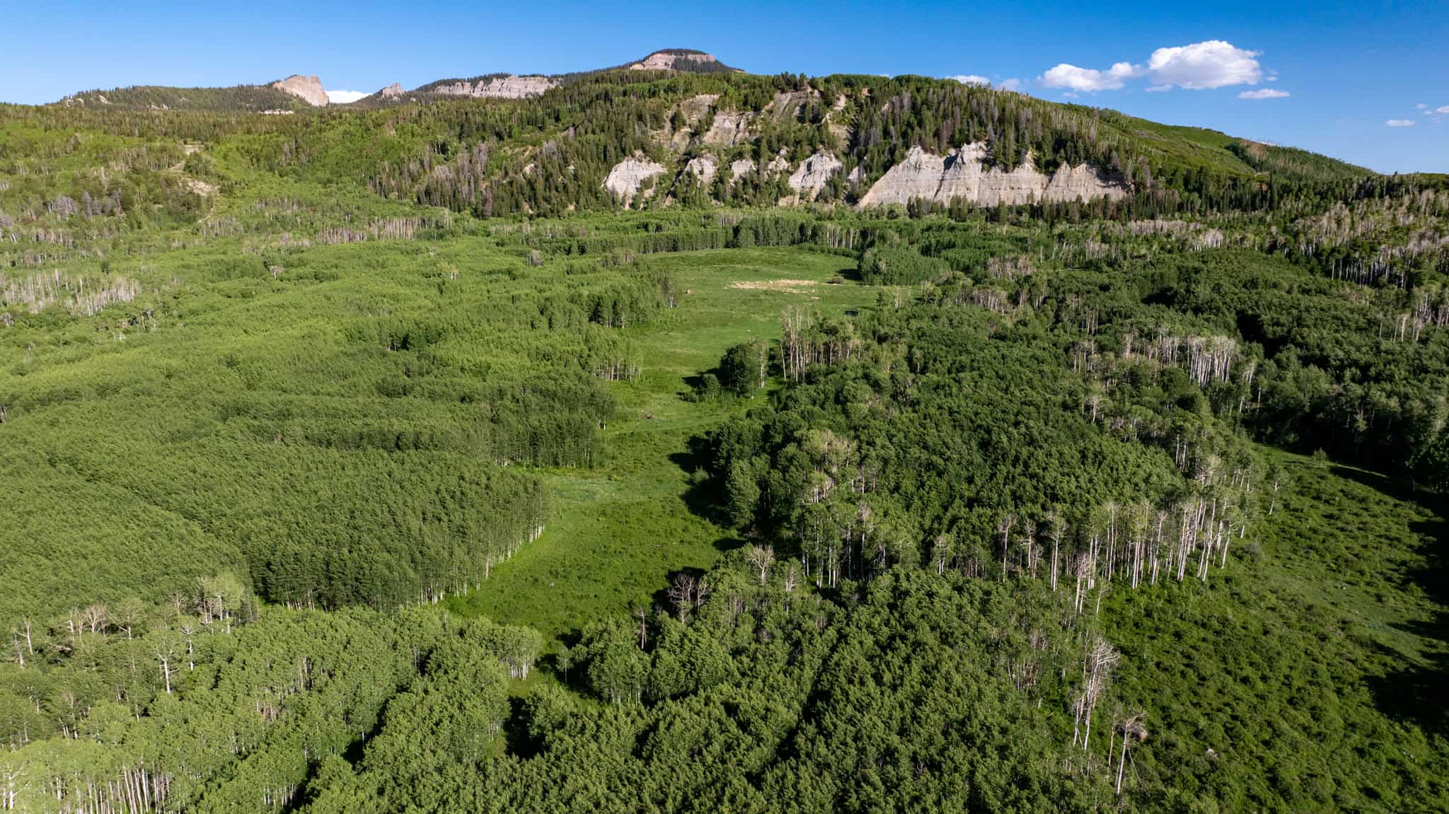 Buckhorn Lakes Ranch Investor Offering – 449± Acres of Premium Mountain Terrain for Sale