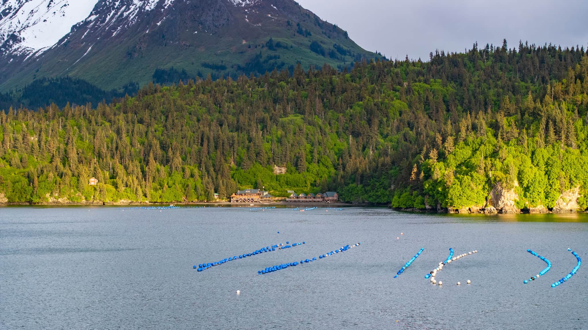 Off-Grid Alaska Lodge for Sale in Halibut Cove