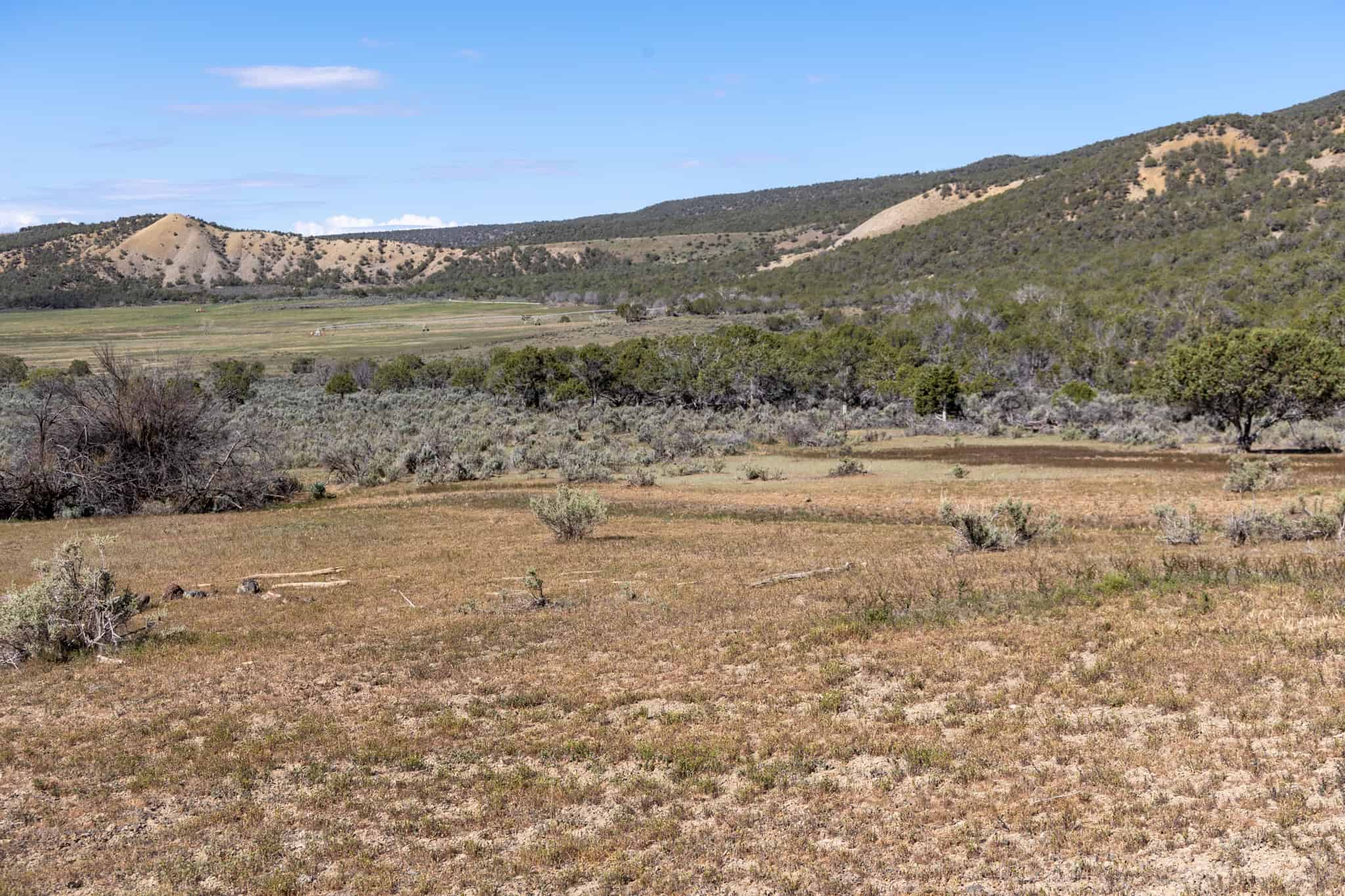 500 Acres Adjacent to BLM – A Secluded Western Colorado Mountain Estate with Water, Views, Wildlife & Unmatched Privacy