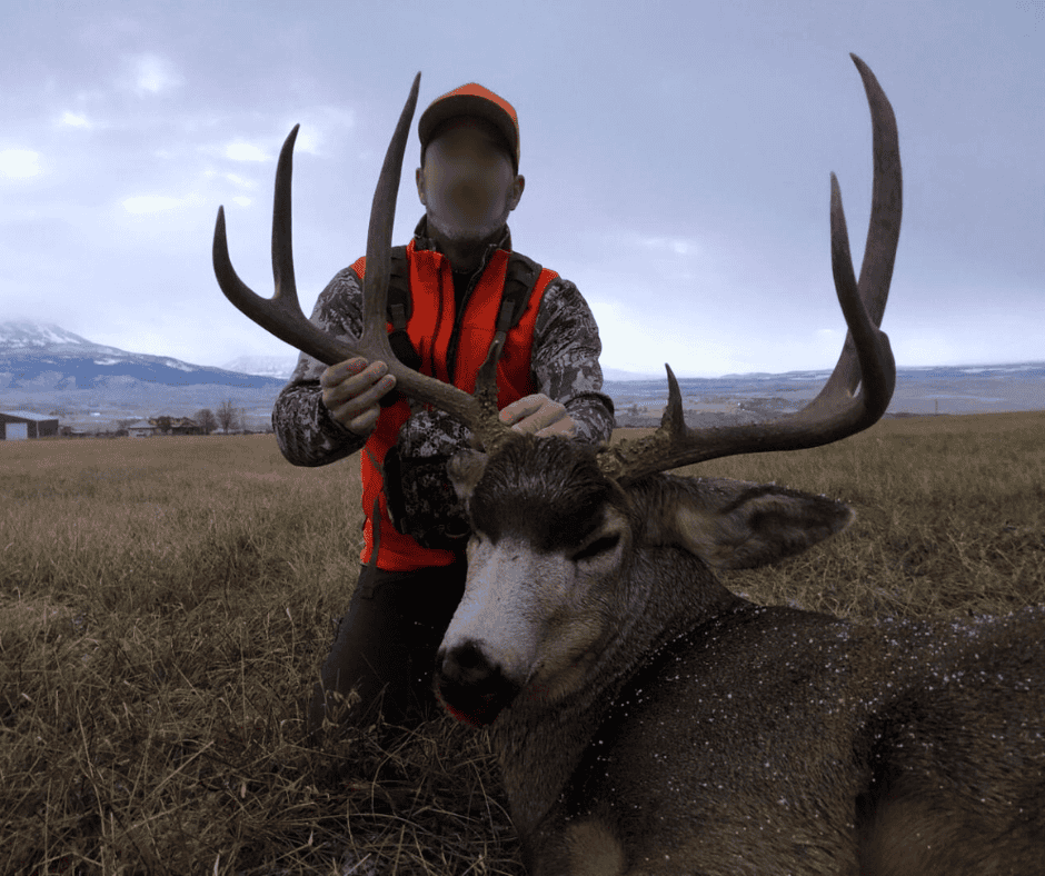 500 Acres Adjacent to BLM – A Secluded Western Colorado Mountain Estate with Water, Views, Wildlife & Unmatched Privacy