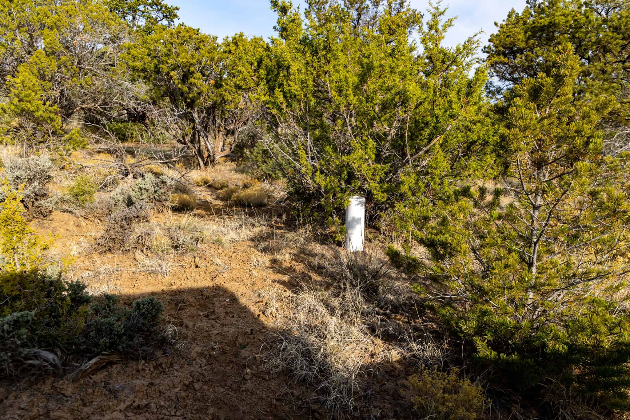 278± Acre Horsefly Ranch