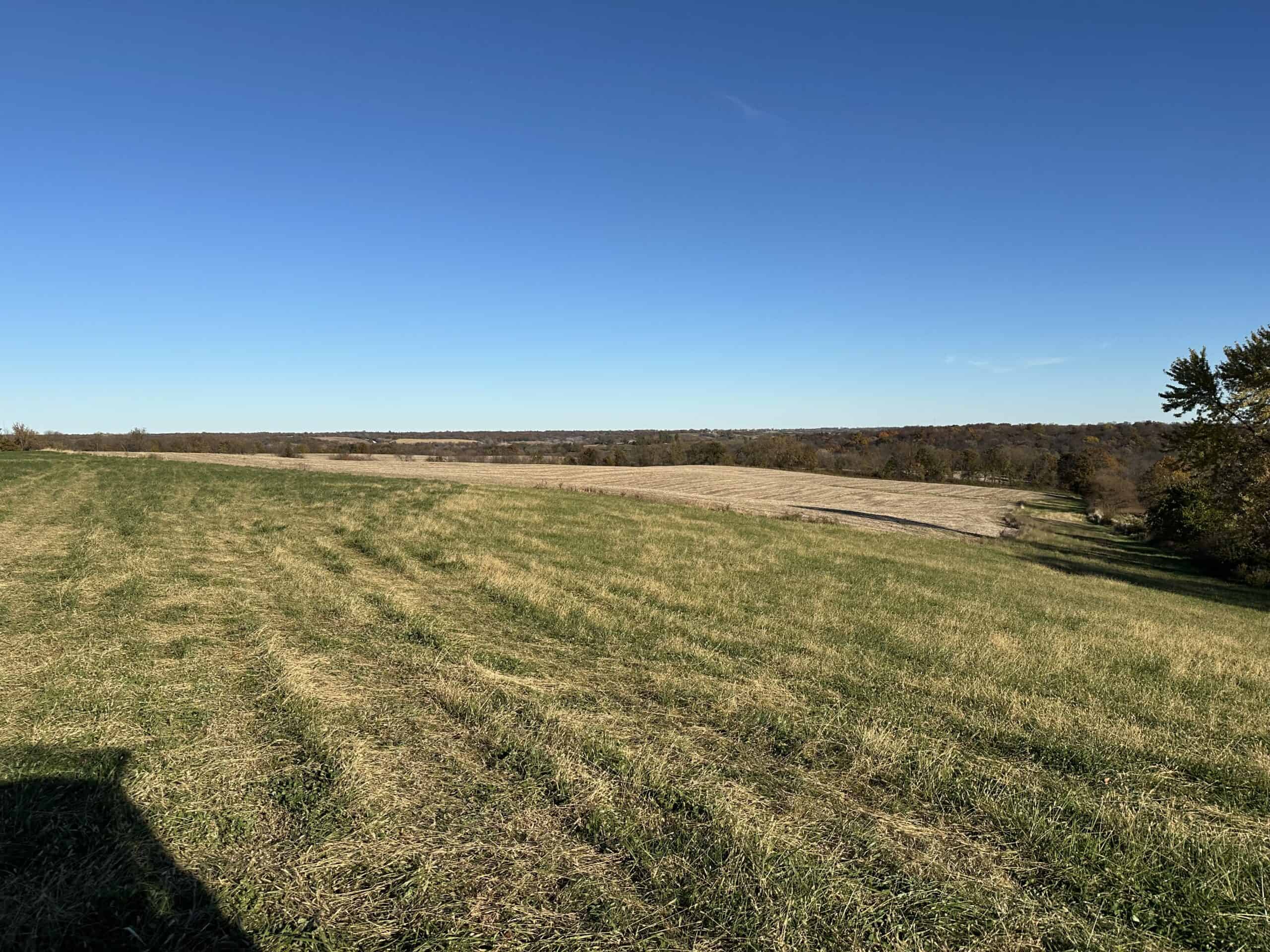 Quality Row Crop & Building Site Opportunity | North of Albia, Iowa