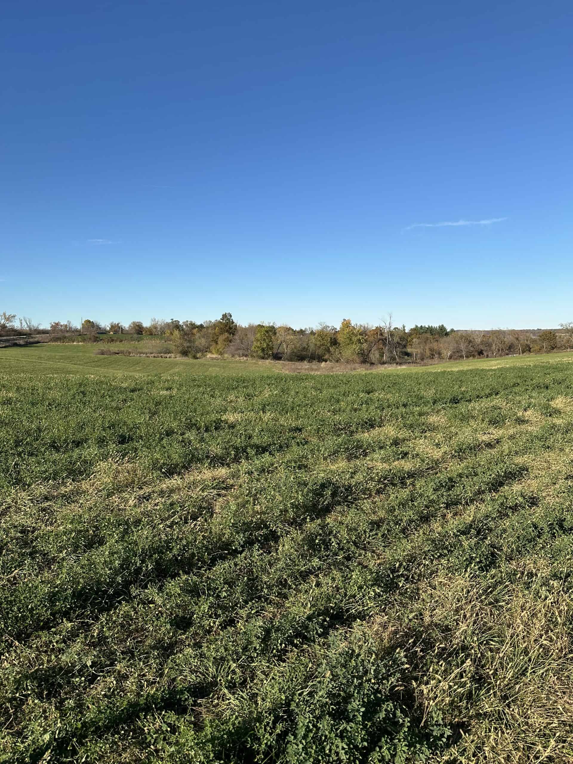 Quality Row Crop & Building Site Opportunity | North of Albia, Iowa