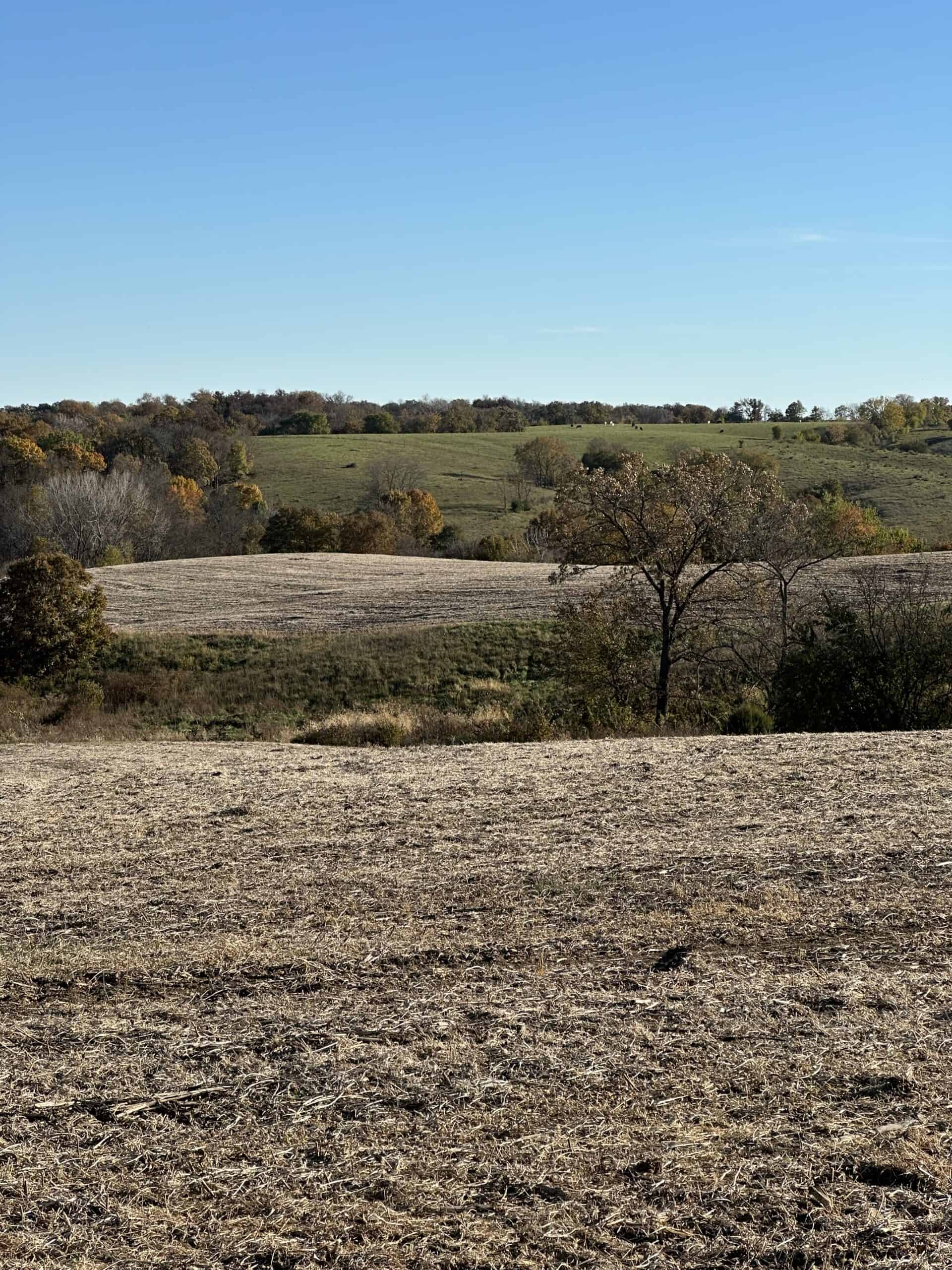 Quality Row Crop & Building Site Opportunity | North of Albia, Iowa