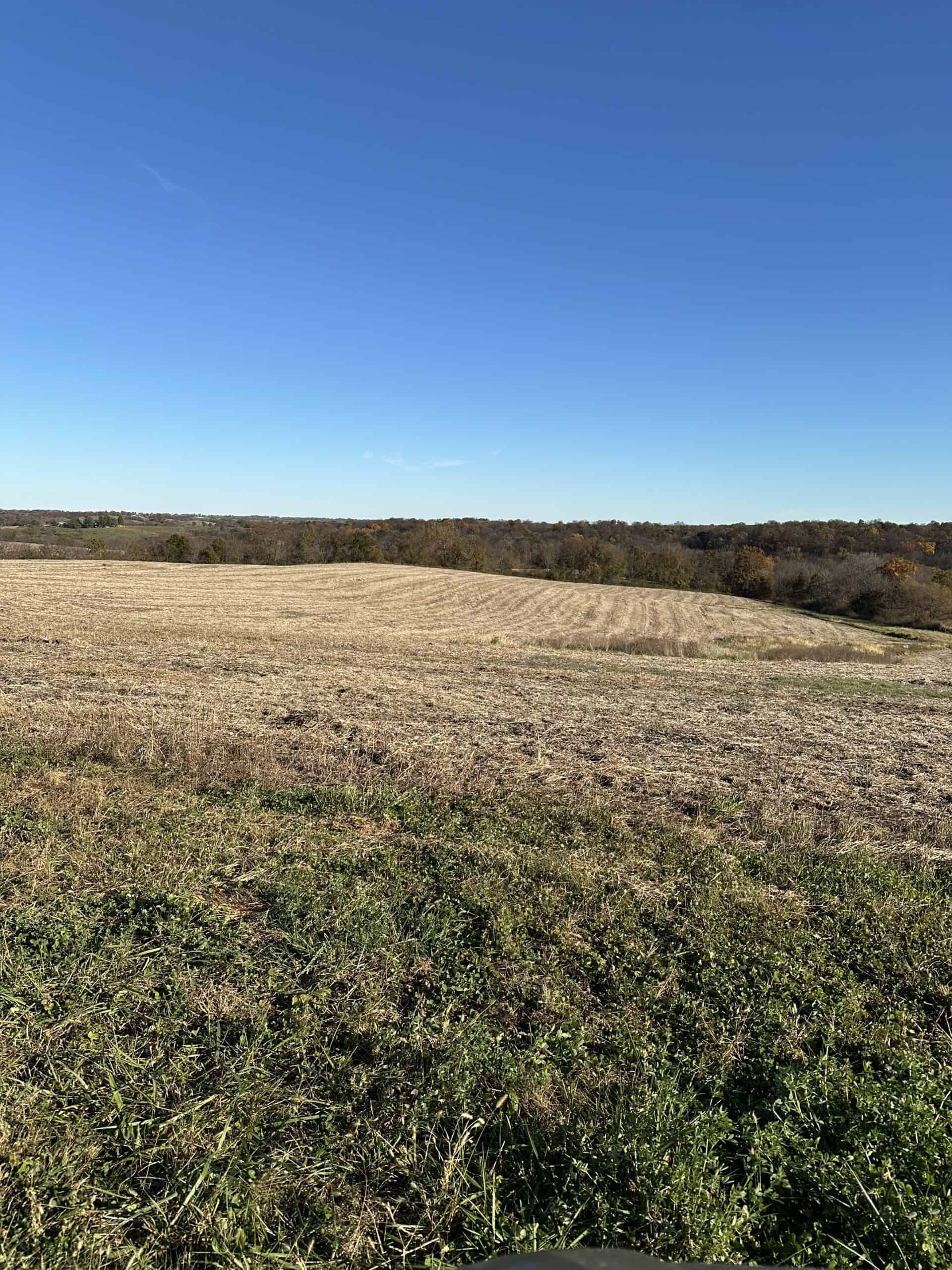 Quality Row Crop & Building Site Opportunity | North of Albia, Iowa