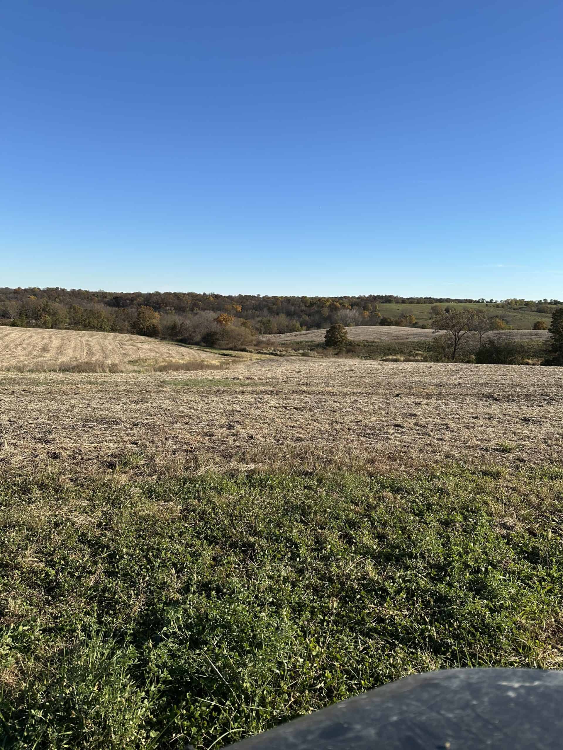 Quality Row Crop & Building Site Opportunity | North of Albia, Iowa
