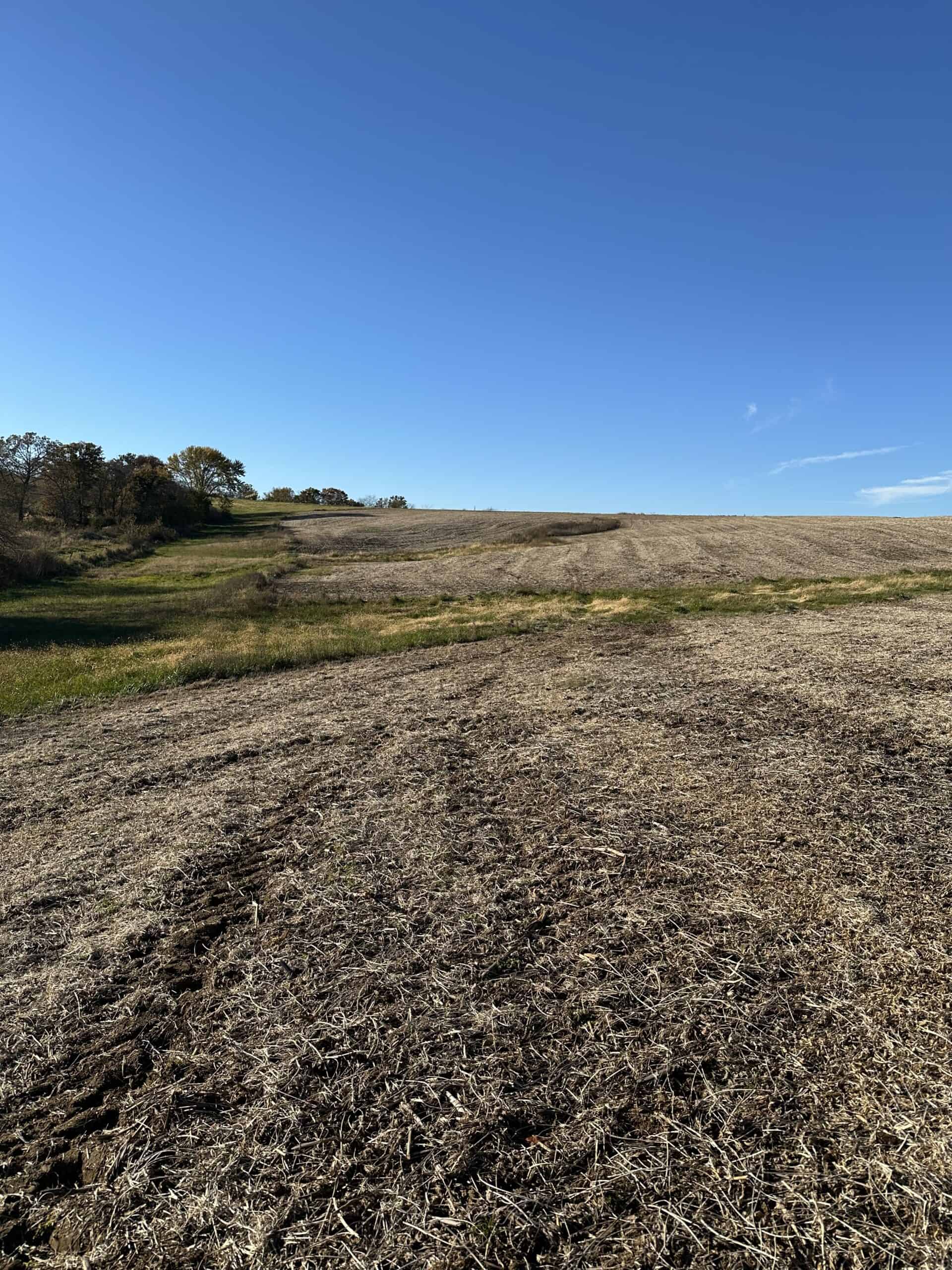 Quality Row Crop & Building Site Opportunity | North of Albia, Iowa