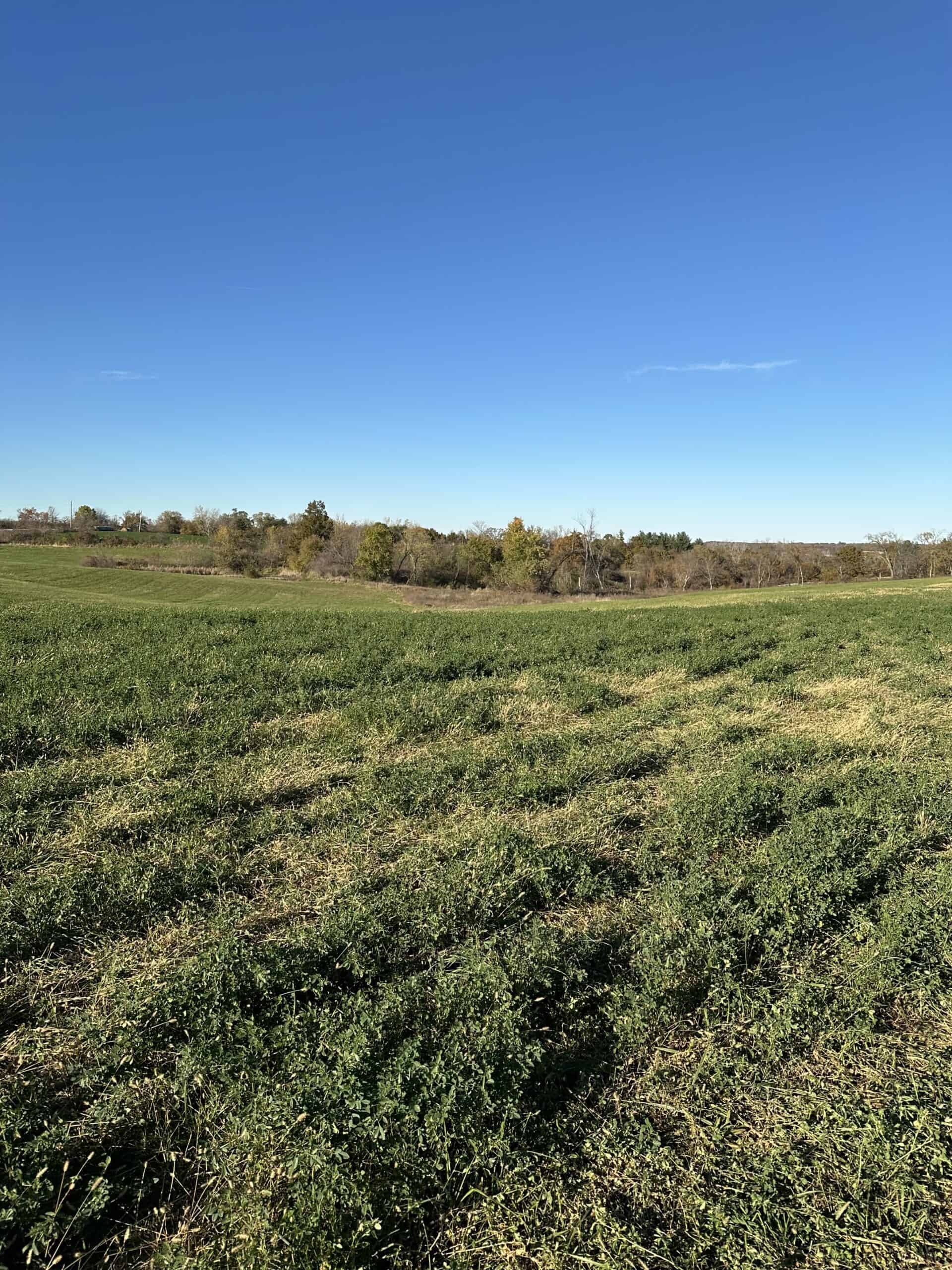 Quality Row Crop & Building Site Opportunity | North of Albia, Iowa
