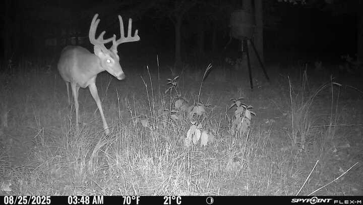 East Texas, Hunting/Ranch/Recreational/Timber Land