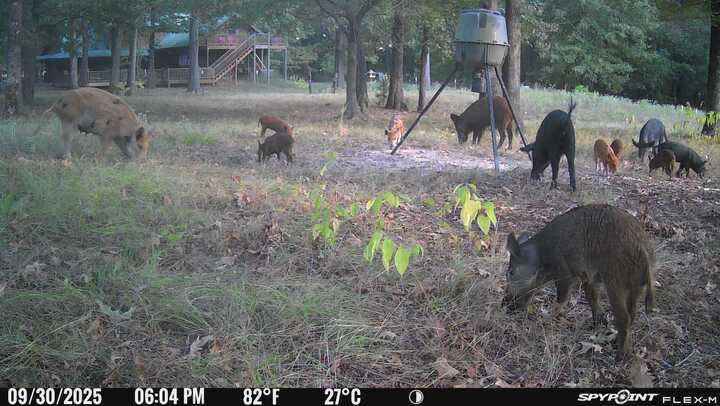East Texas, Hunting/Ranch/Recreational/Timber Land