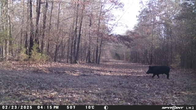 East Texas, Hunting/Ranch/Recreational/Timber Land