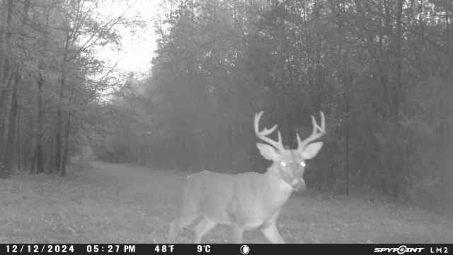 East Texas, Hunting/Ranch/Recreational/Timber Land