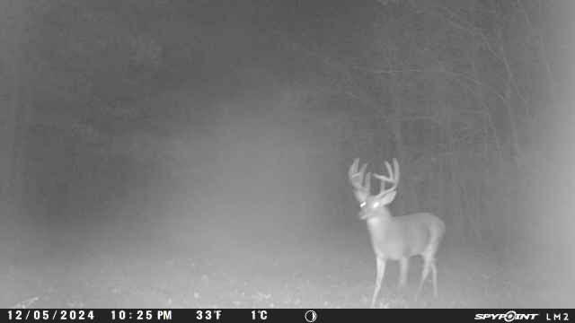 East Texas, Hunting/Ranch/Recreational/Timber Land