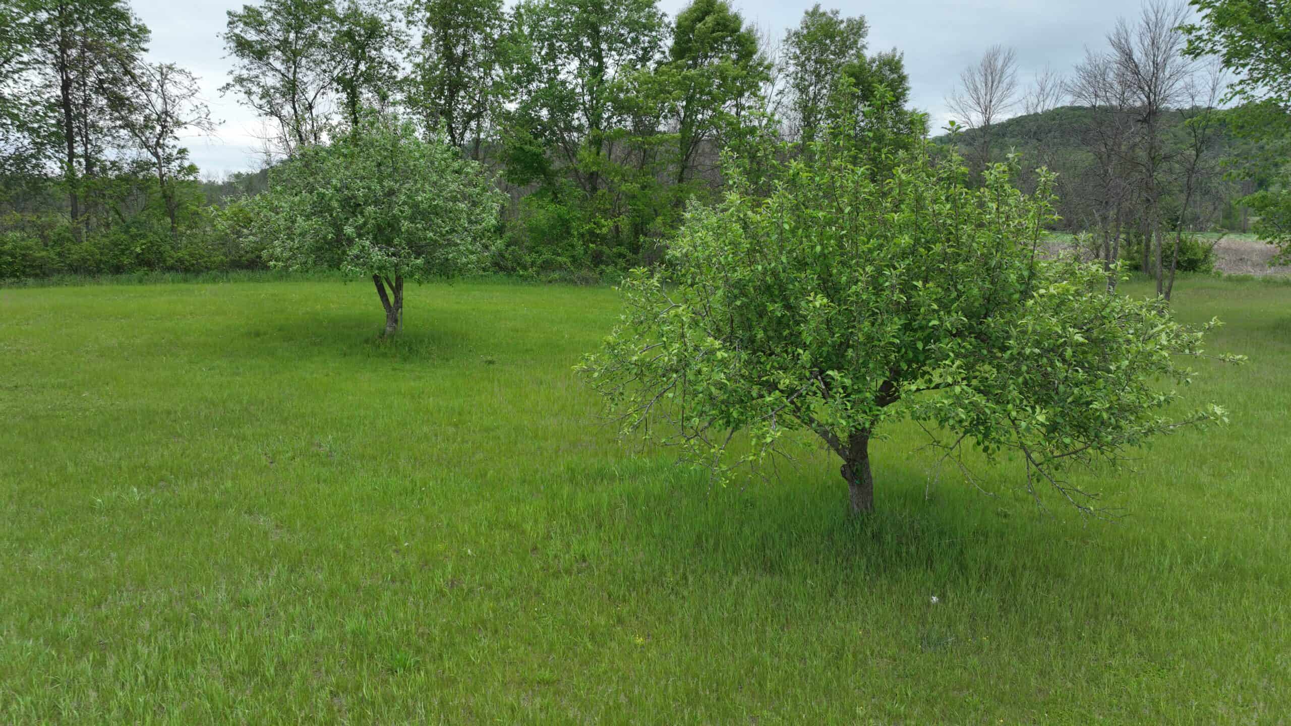 Off-Grid Solar Renewable Energy System Home on 67 Acres with Pine River Frontage | Richland County, WI