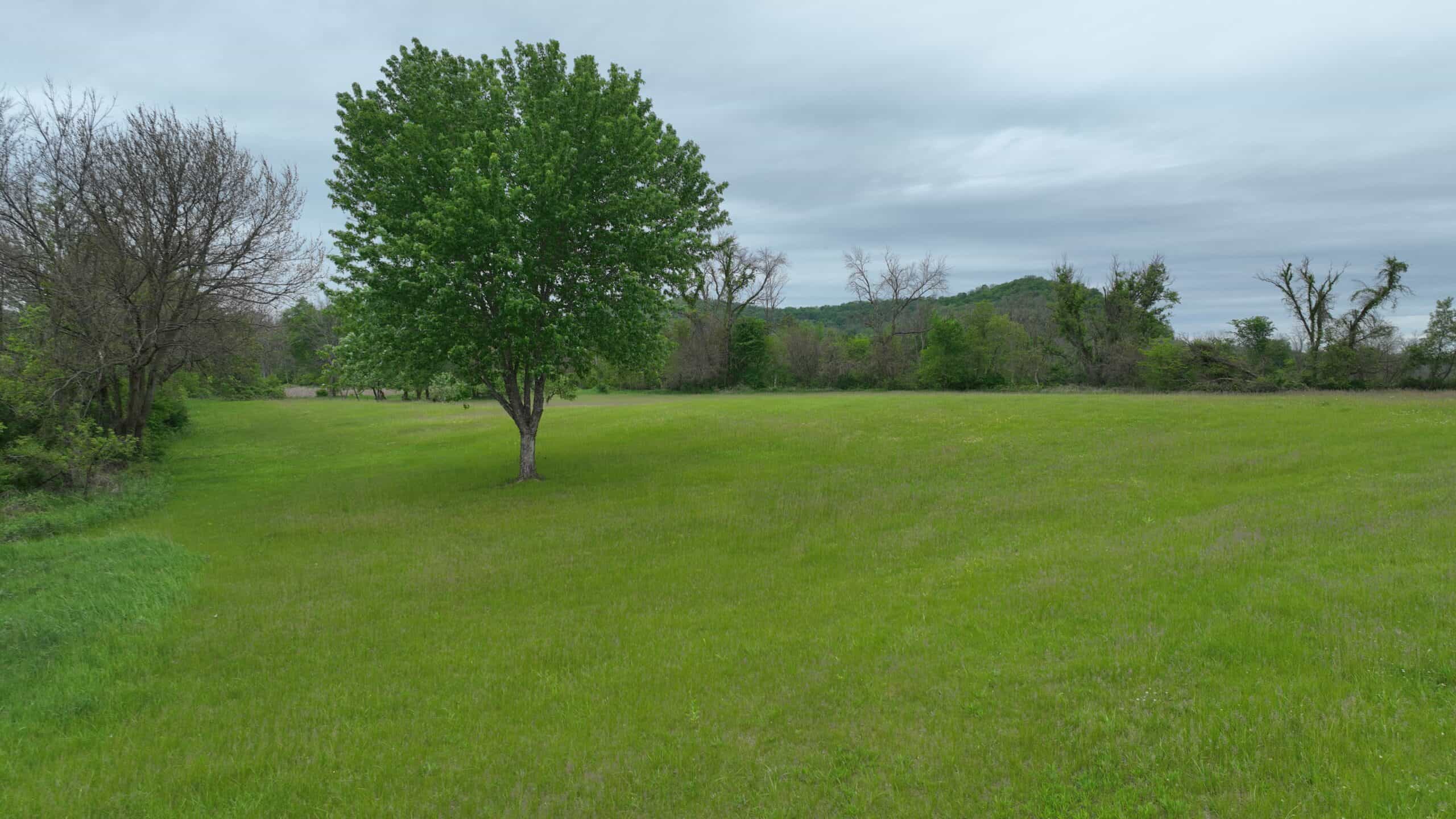 Off-Grid Solar Renewable Energy System Home on 67 Acres with Pine River Frontage | Richland County, WI