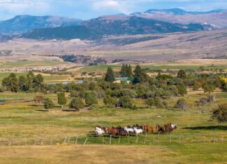 Colorado Mountain Legacy Ranch – The Gates Ranch