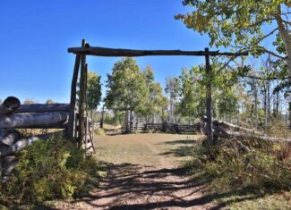 Colorado Hunting Property with Multiple Cabins