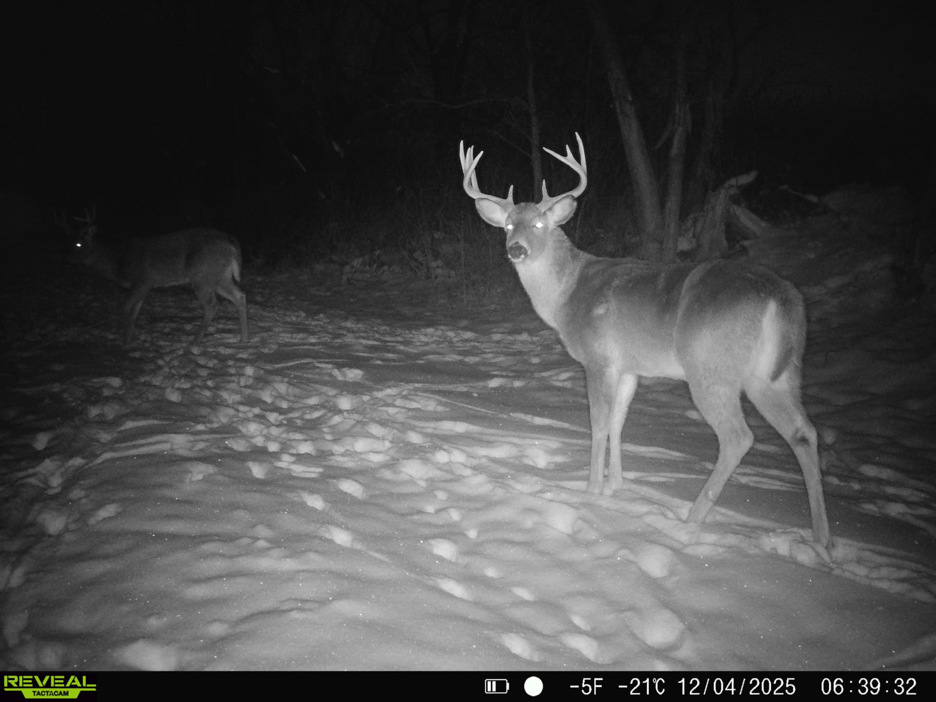 57+/- Acre Retreat in Wisconsin’s Driftless Area, Crawford County