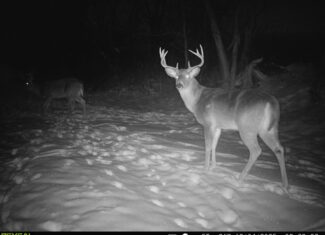 100 +/- Acre Ridge-Top Driftless Retreat in Crawford County WI