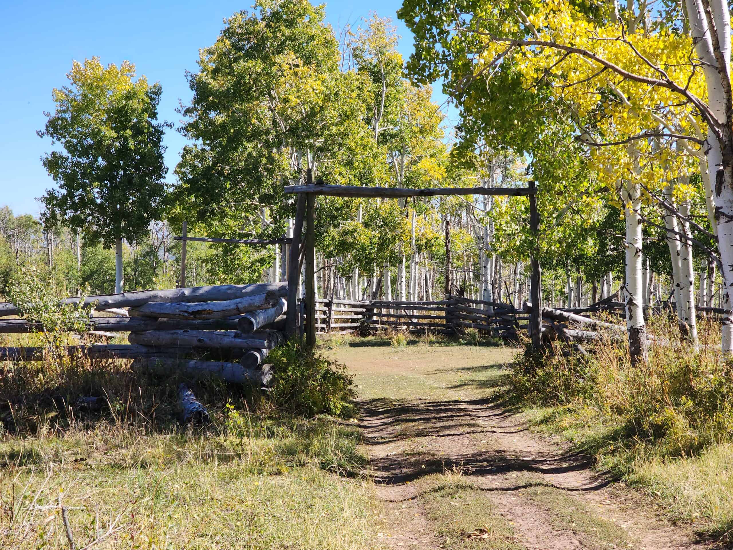 Colorado Hunting Property with Multiple Cabins