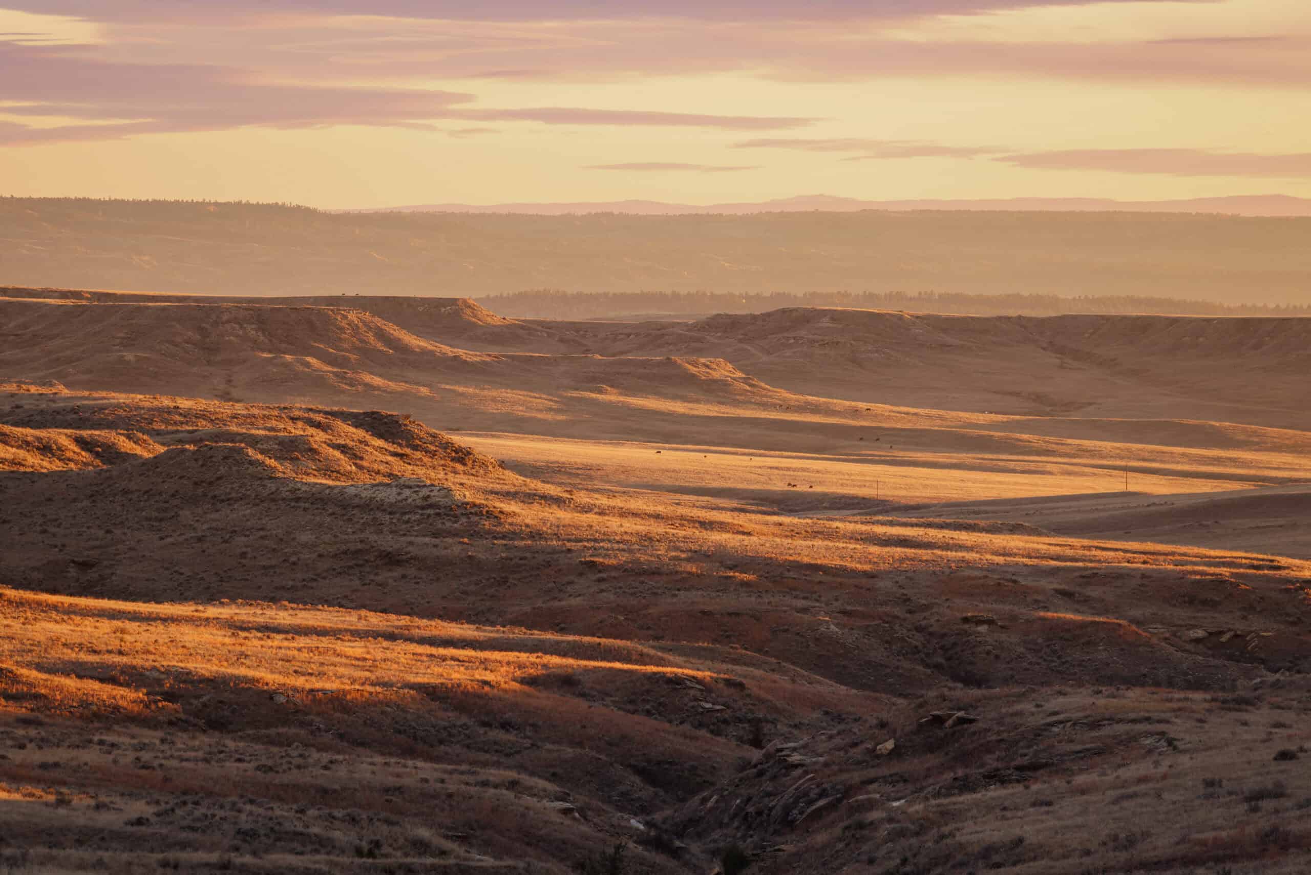 S Bar Ranch – 19,816± Acres North of Custer, Yellowstone County, Montana