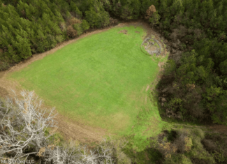 283± Acres for Sale Amite County, Mississippi