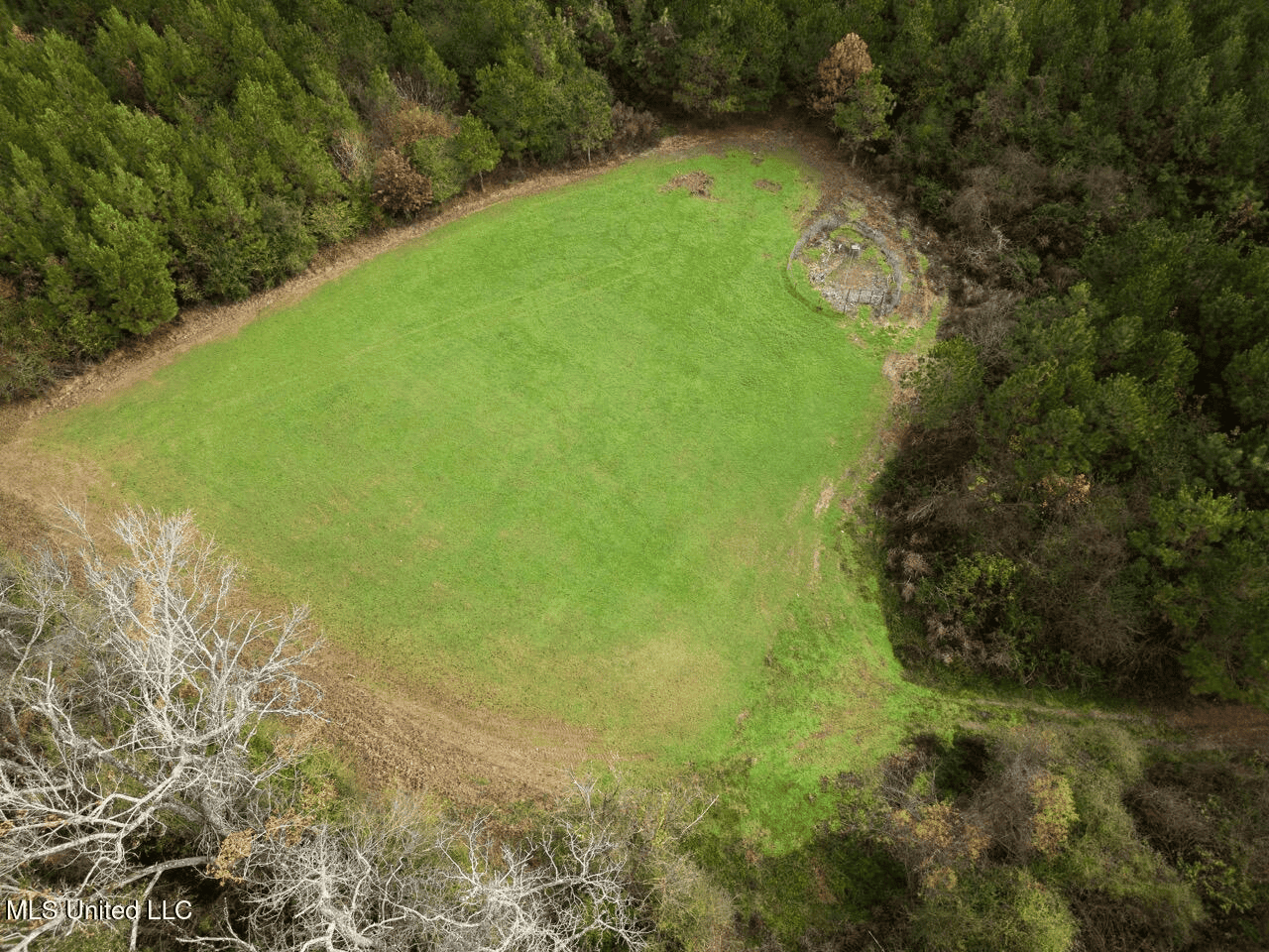 283± Acres for Sale Amite County, Mississippi