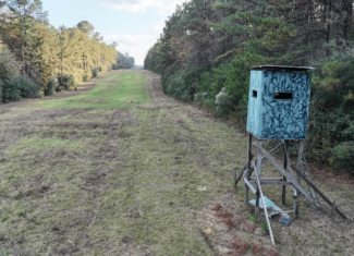 Prime Hunting Property in St Helena Parish, LA