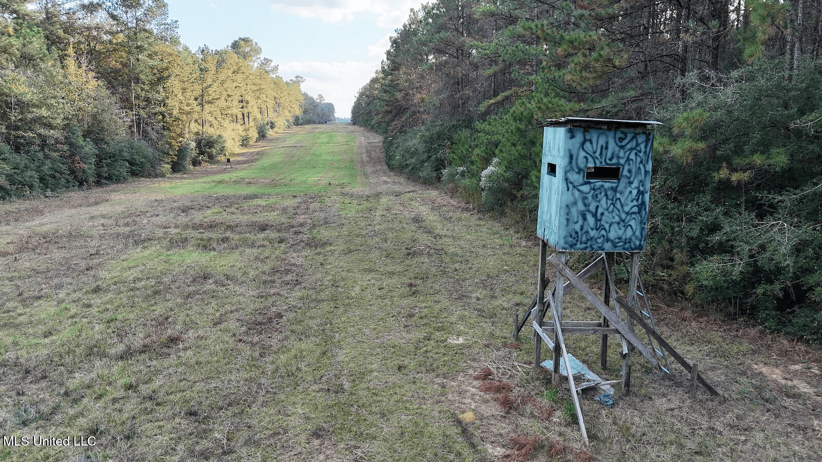 Prime Hunting Property in St Helena Parish, LA