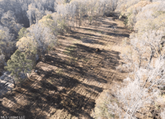 84.5 Acres in Woodville, MS on Hwy 24 with Creeks