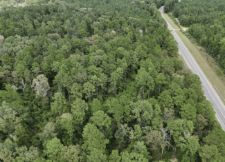 Hunting and Timberland w/ Homesite Potential Trout LA