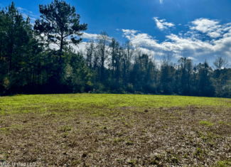 39.7 Acres in Brookhaven MS