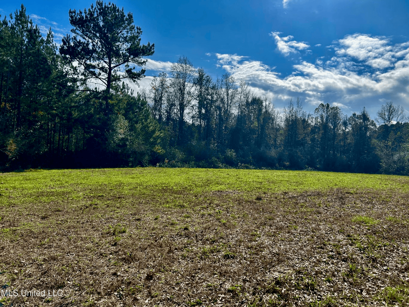 39.7 Acres in Brookhaven MS